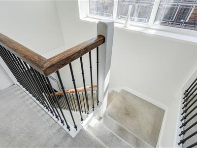 Picture 24